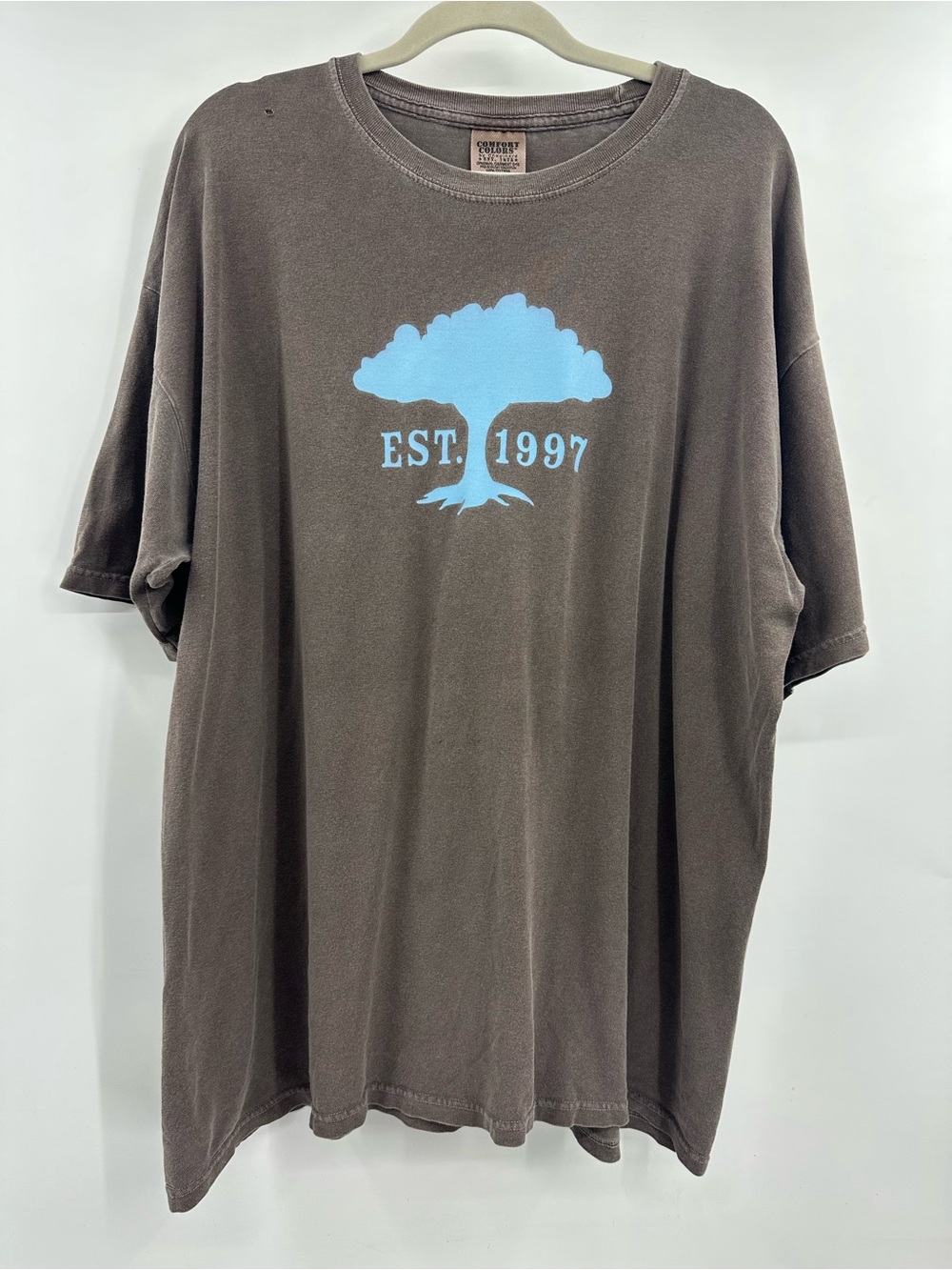 Comfort Colors Brown Short Sleeve Tee with Light Blue Tree Graphic
